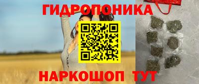 дмт Новозыбков