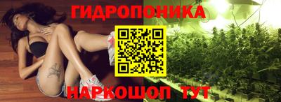 дмт Новозыбков