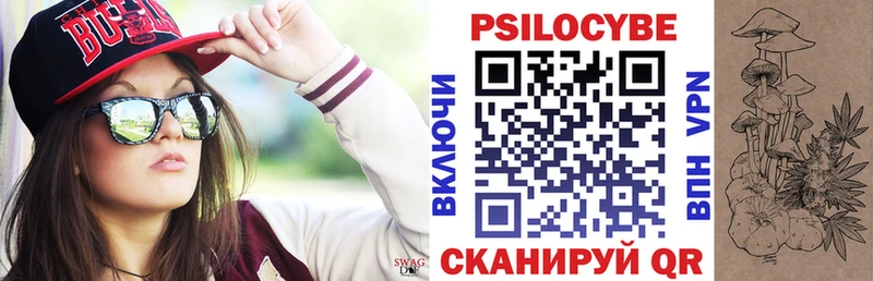 omg ССЫЛКА  купить наркотики сайты  Волхов  Псилоцибиновые грибы Magic Shrooms 