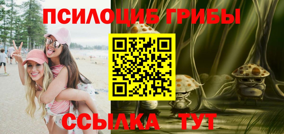 Псилоцибиновые грибы мицелий  Вход с VPN  Волхов 